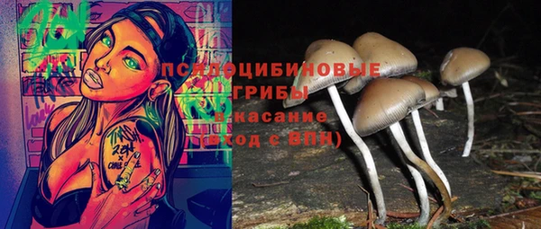 СК Алзамай