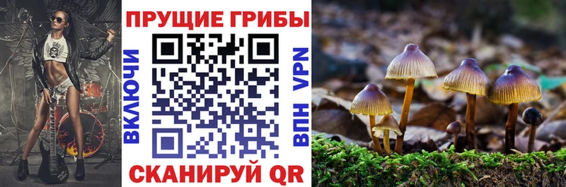 Галлюциногенные грибы GOLDEN TEACHER  Карабаш 